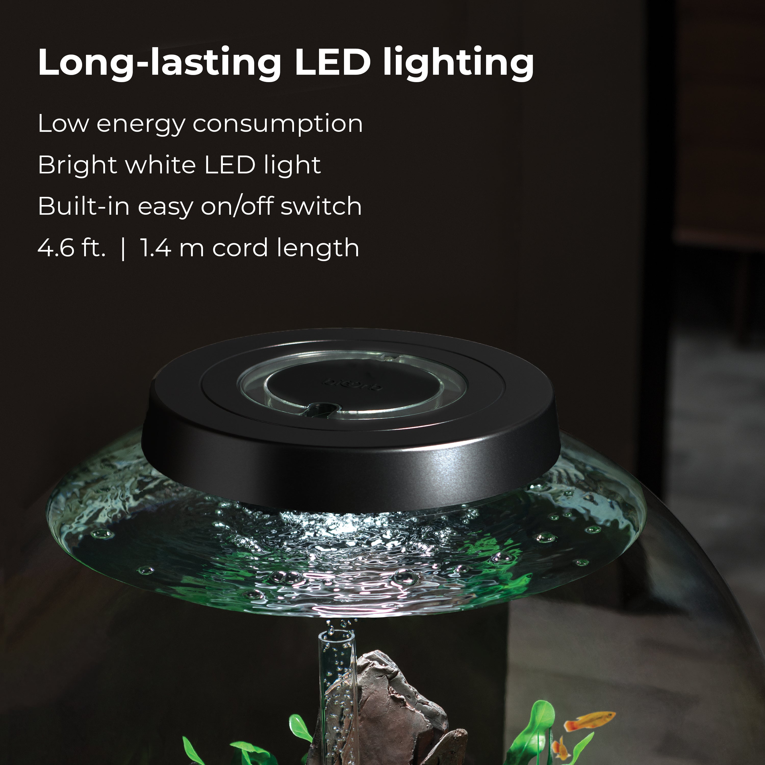 CLASSIC 60 Aquarium with Standard White LED Light - Long-lasting LED lighting