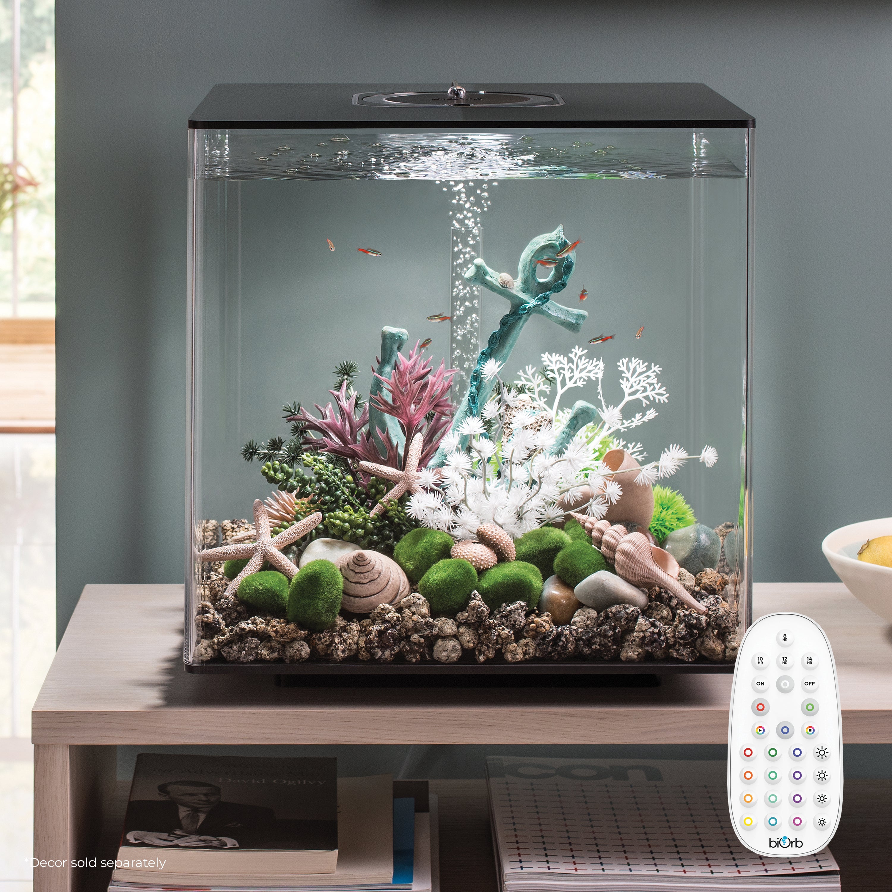 CUBE 60 Aquarium with Multi Colour LED Light - Black In Use