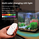 CUBE 60 Aquarium with Multi Colour LED Light - Multi-color changing LED light