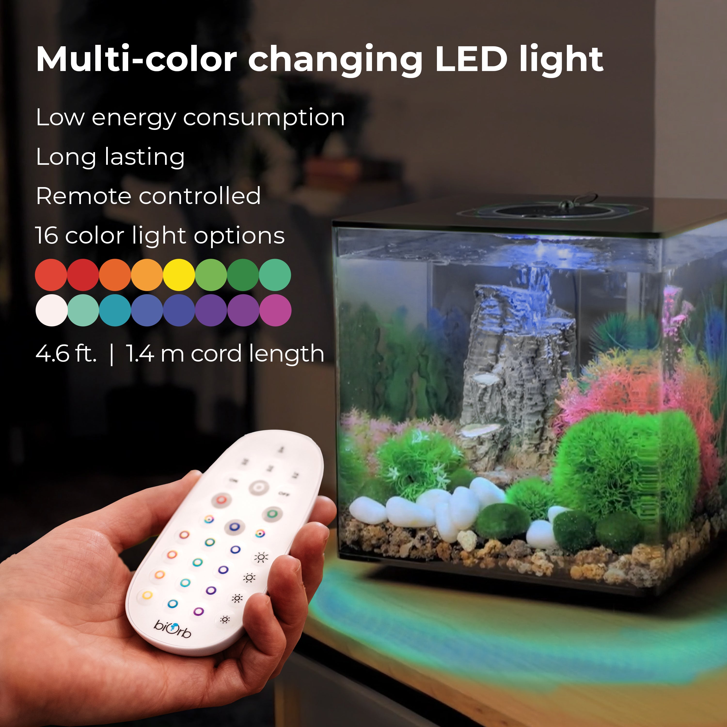 CUBE 60 Aquarium with Multi Colour LED Light - Multi-color changing LED light