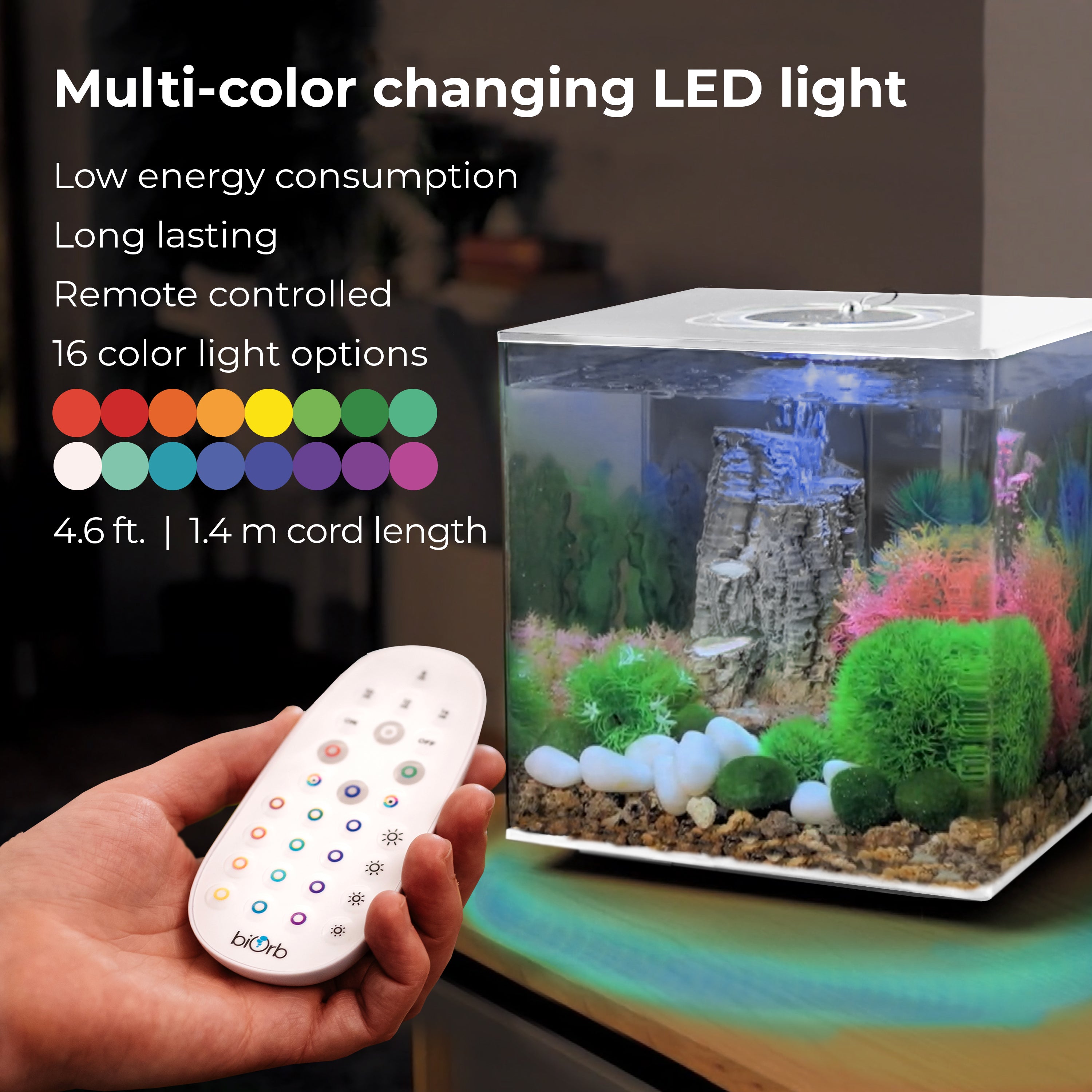 CUBE 60 Aquarium with Multi Colour LED Light - Multi-color changing LED light