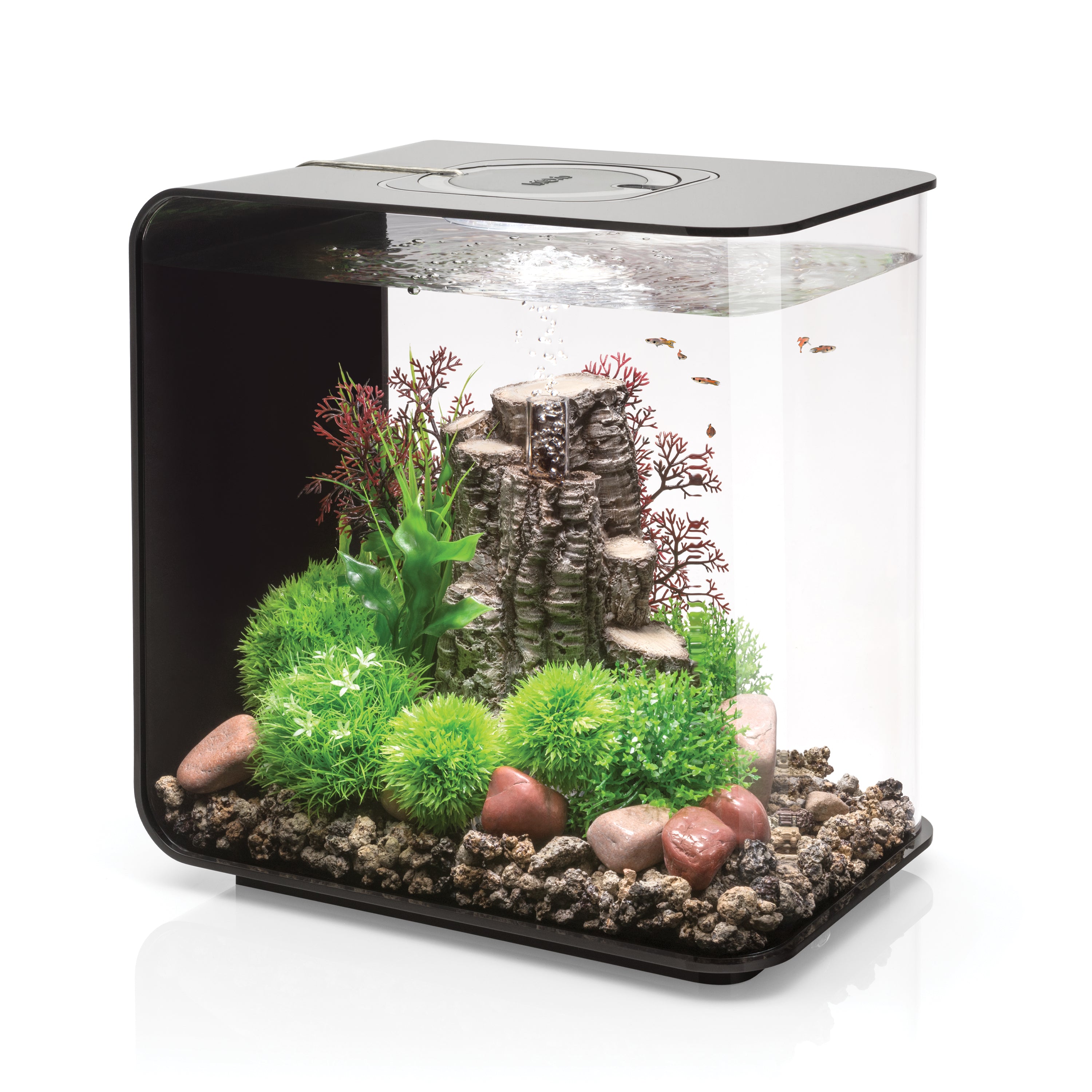 FLOW 30 Aquarium with Standard White LED Light - Black