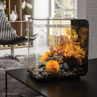 FLOW 30 Aquarium with Standard White LED Light - Black in Use