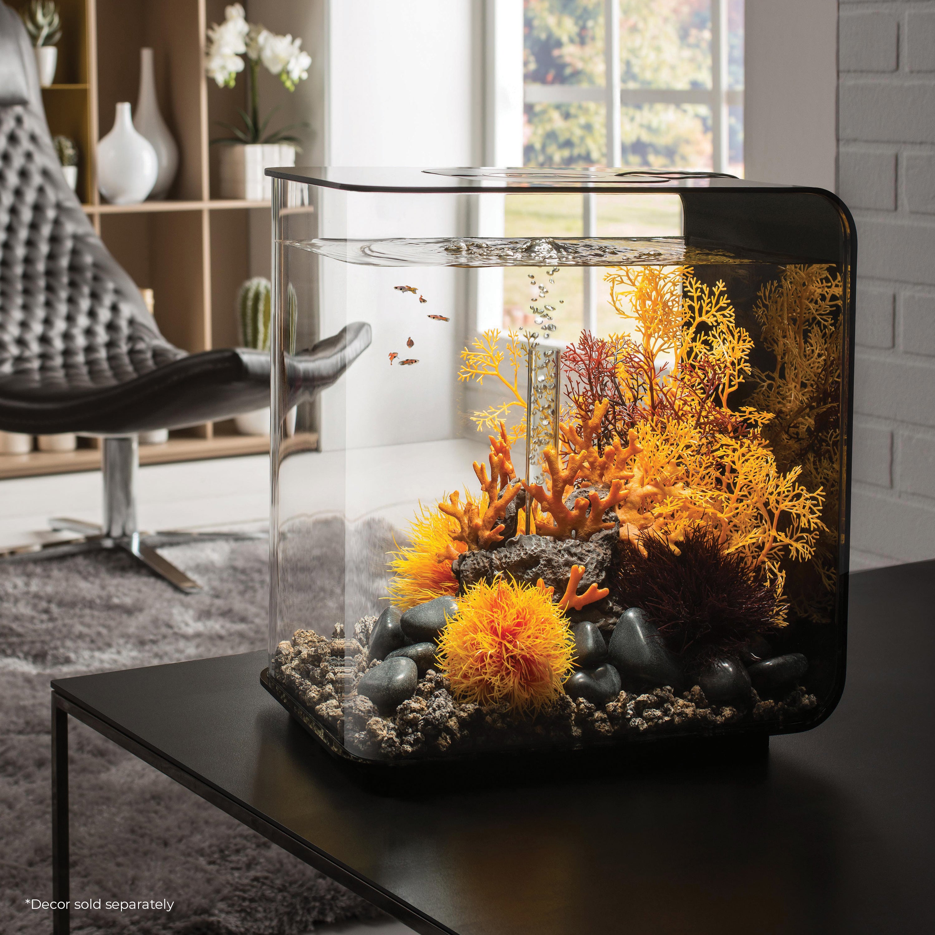 FLOW 30 Aquarium with Standard White LED Light - Black in Use