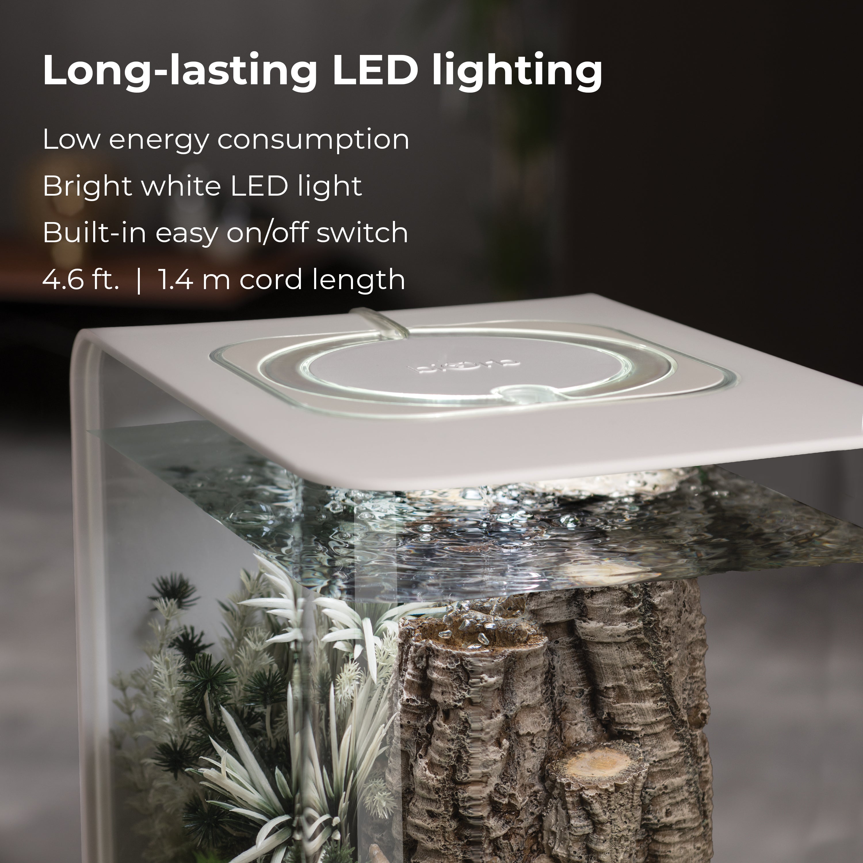 FLOW 30 Aquarium with Standard White LED Light - Long-lasting LED lighting