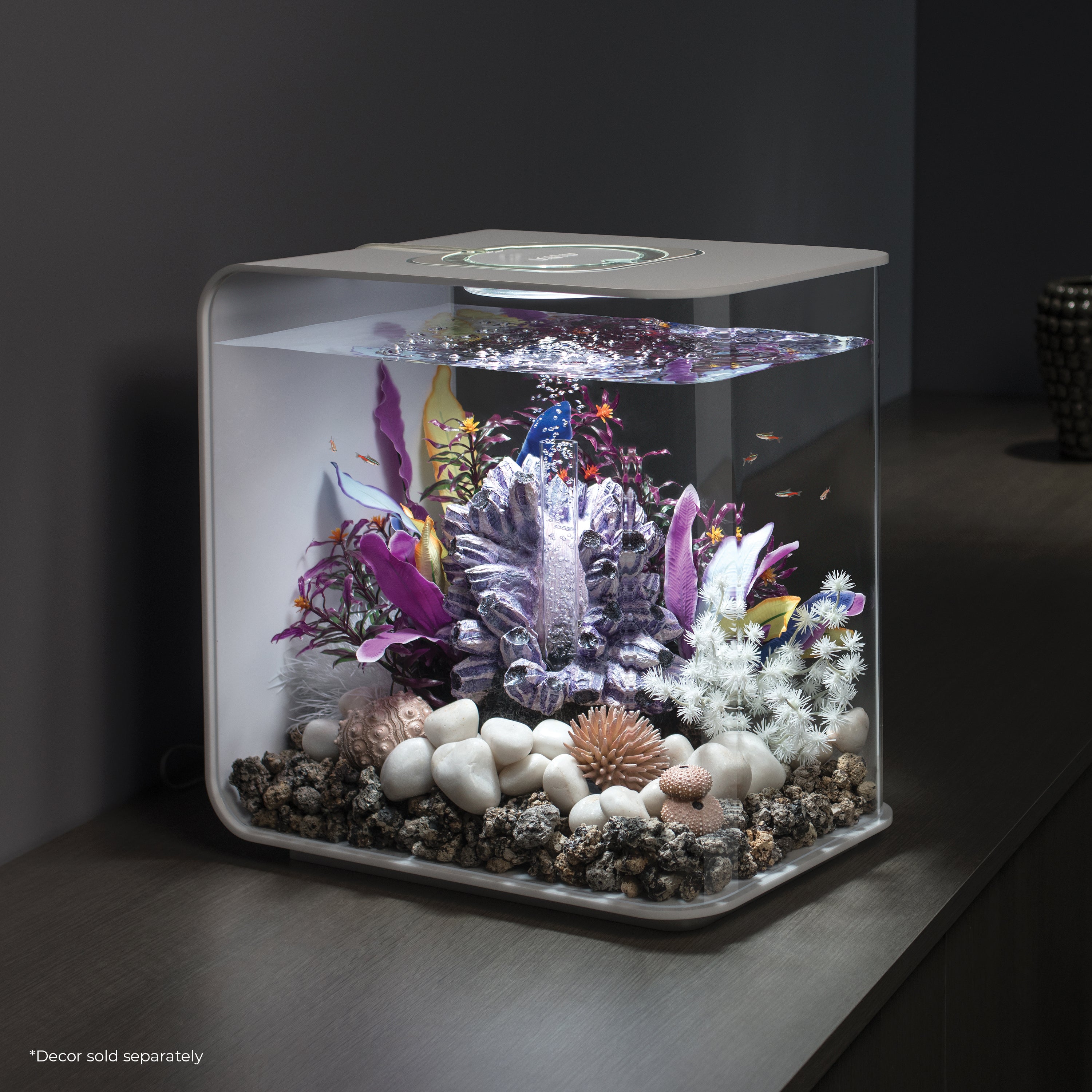 FLOW 30 Aquarium with Standard White LED Light - White In Use