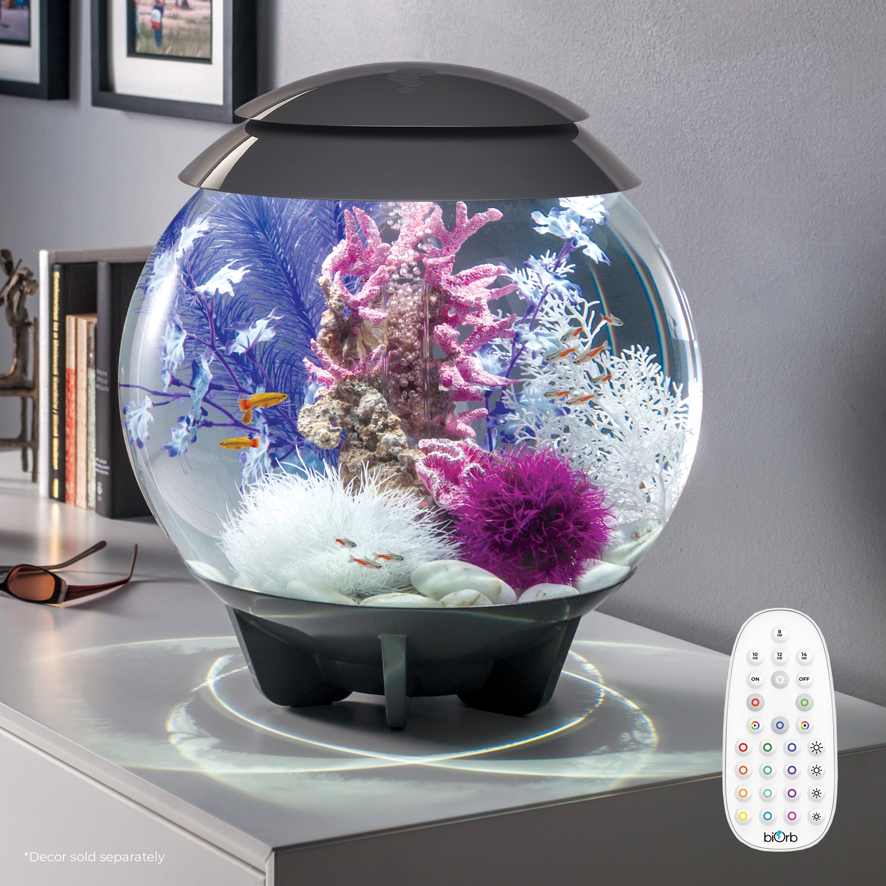 HALO 30 Aquarium with Multi Colour LED Light - Grey In Use