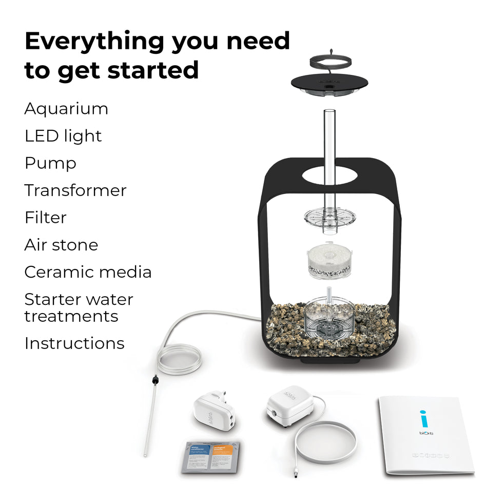 Stylish biOrb Aquariums for Every Enthusiast | biOrb UK