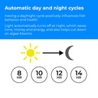 Small MCR LED Light Accessory - Automatic day and night cycles
