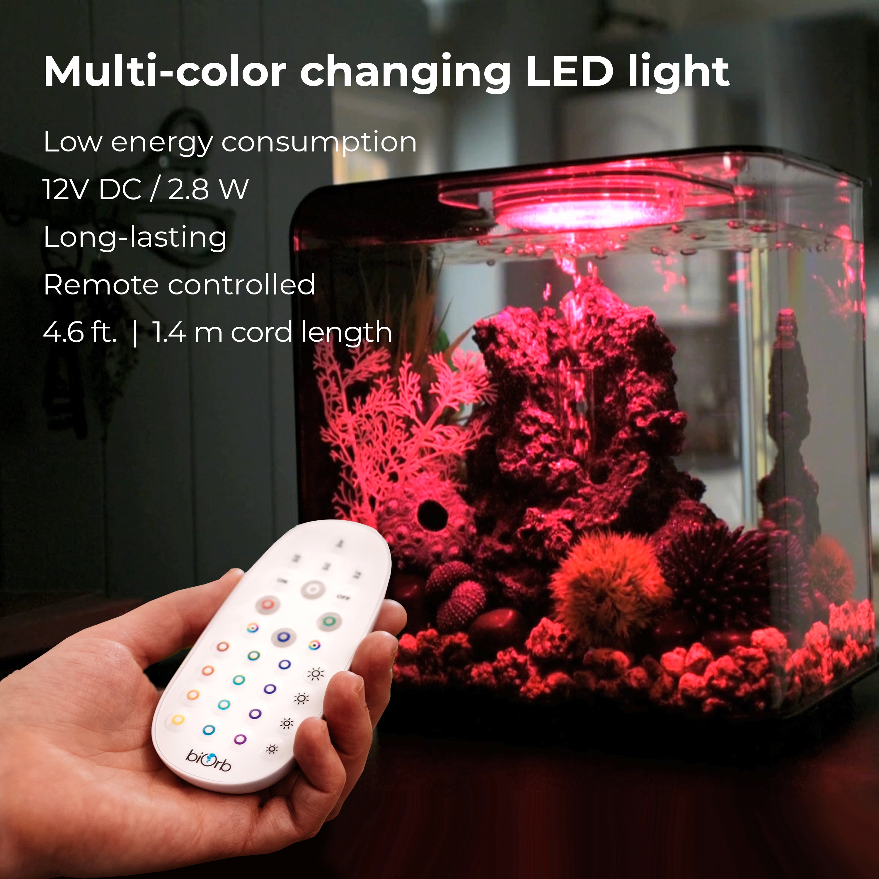 Large MCR LED Light Accessory - Multi-colour changing LED light