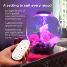 Small MCR LED Light Accessory - A setting to suit ever mood