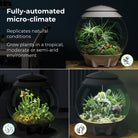 AIR 30 Terrarium - Fully-automated micro-climate