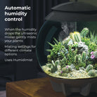 AIR 30 Terrarium - Automatic humidity control