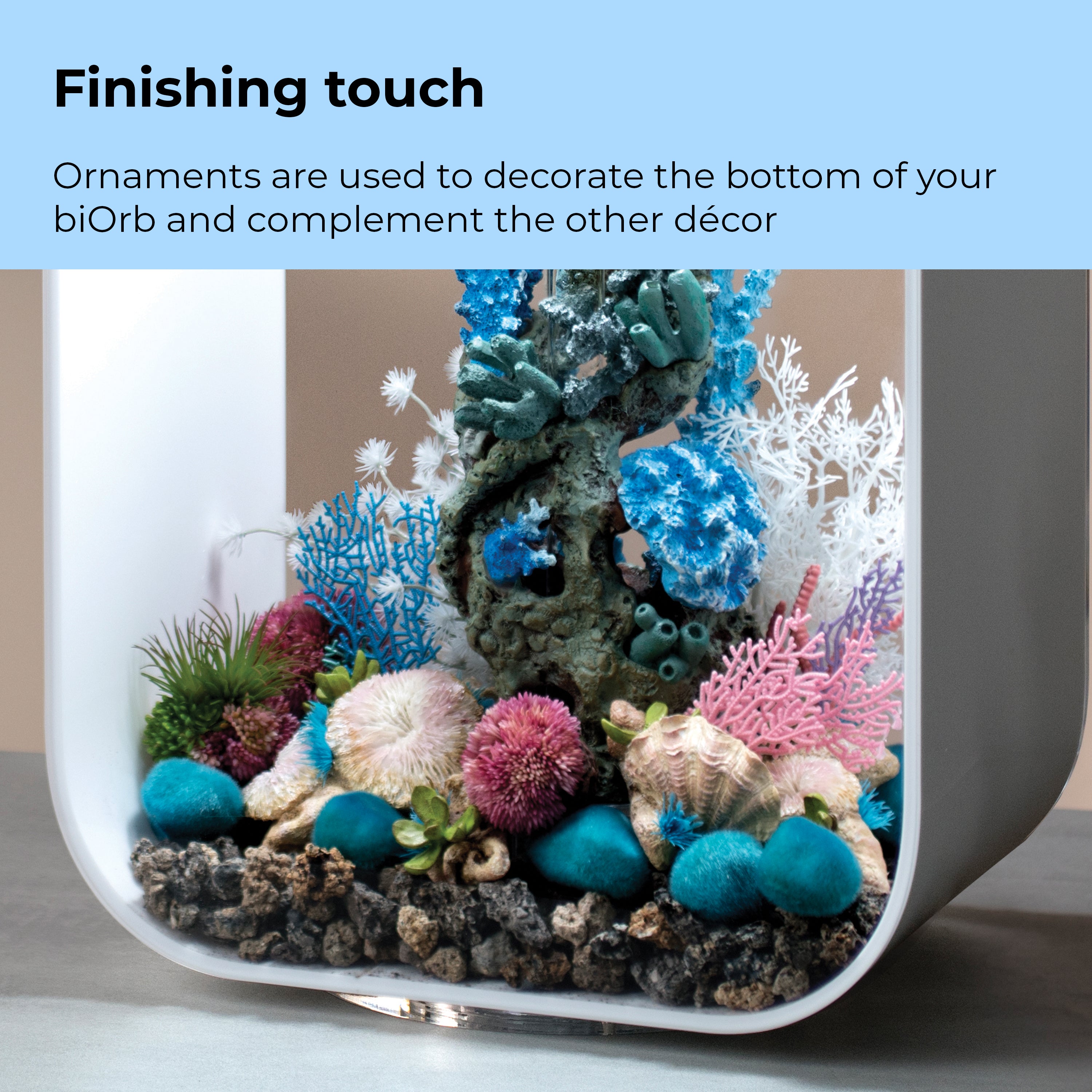 Seychelles Coral Fans & Shells Set of 3 - Finishing touch
