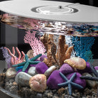 Seychelles Coral Fans & Shells Set of 3 - In use