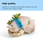 Seychelles Plate Corals & Button Polyps Set of 3 - High Quality