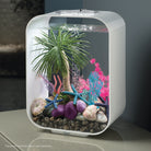 Large Seychelles Palm Tree Sculpture In Use