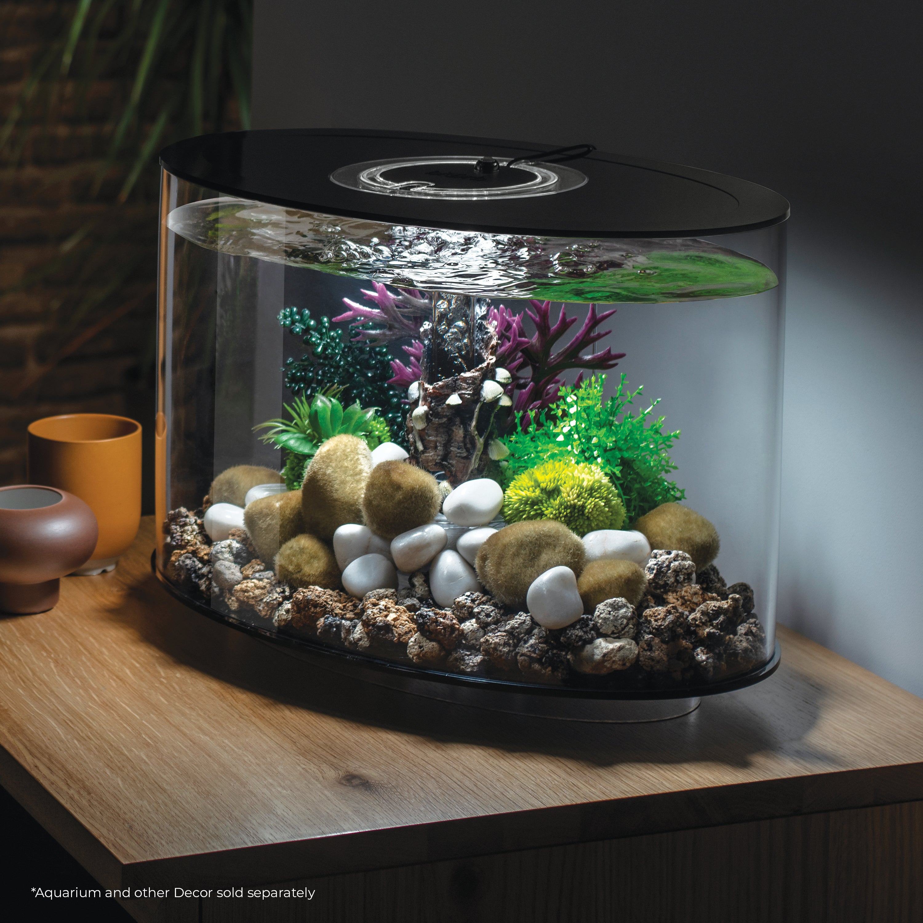 Coral Ball Set In Use