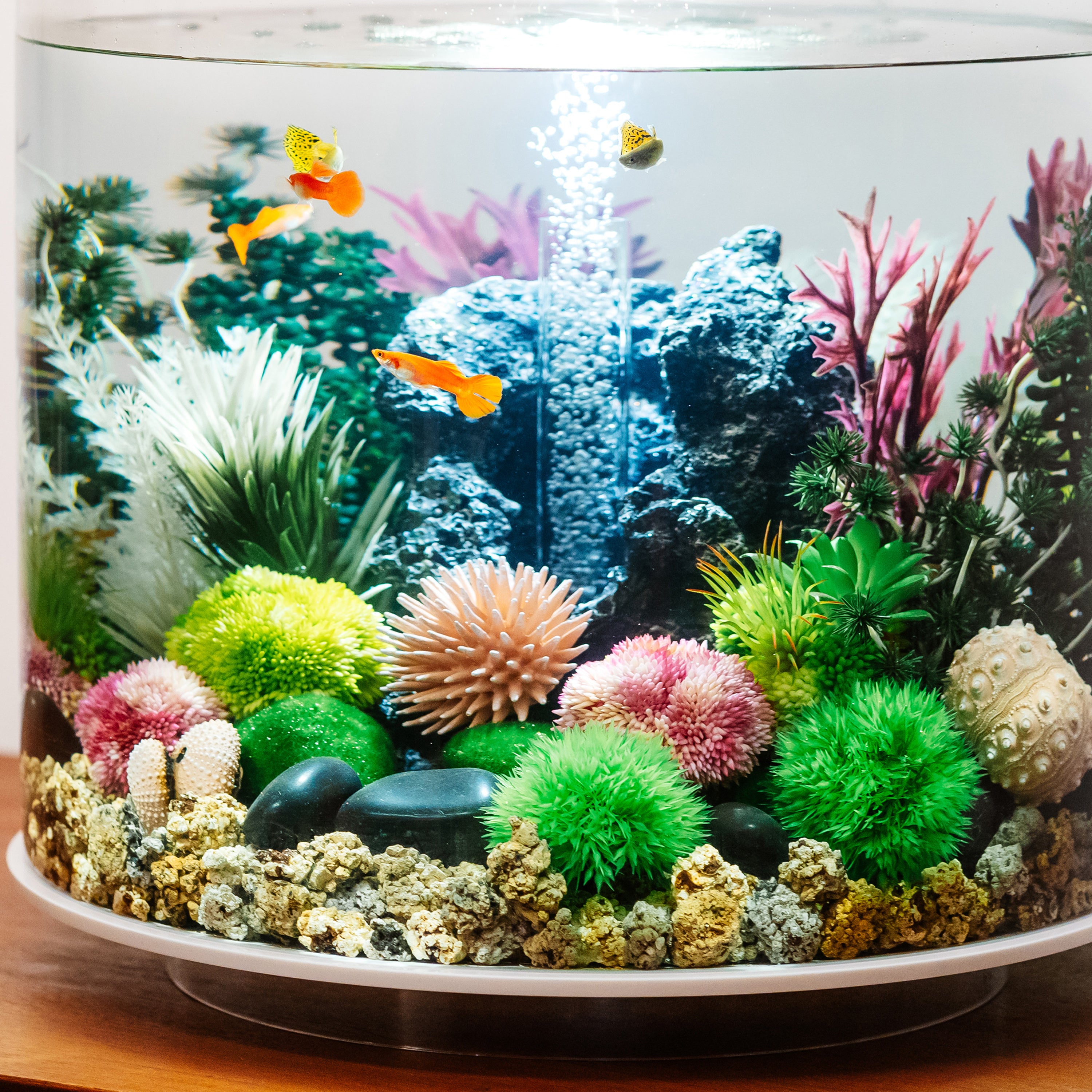 Coral Ball Set In Use