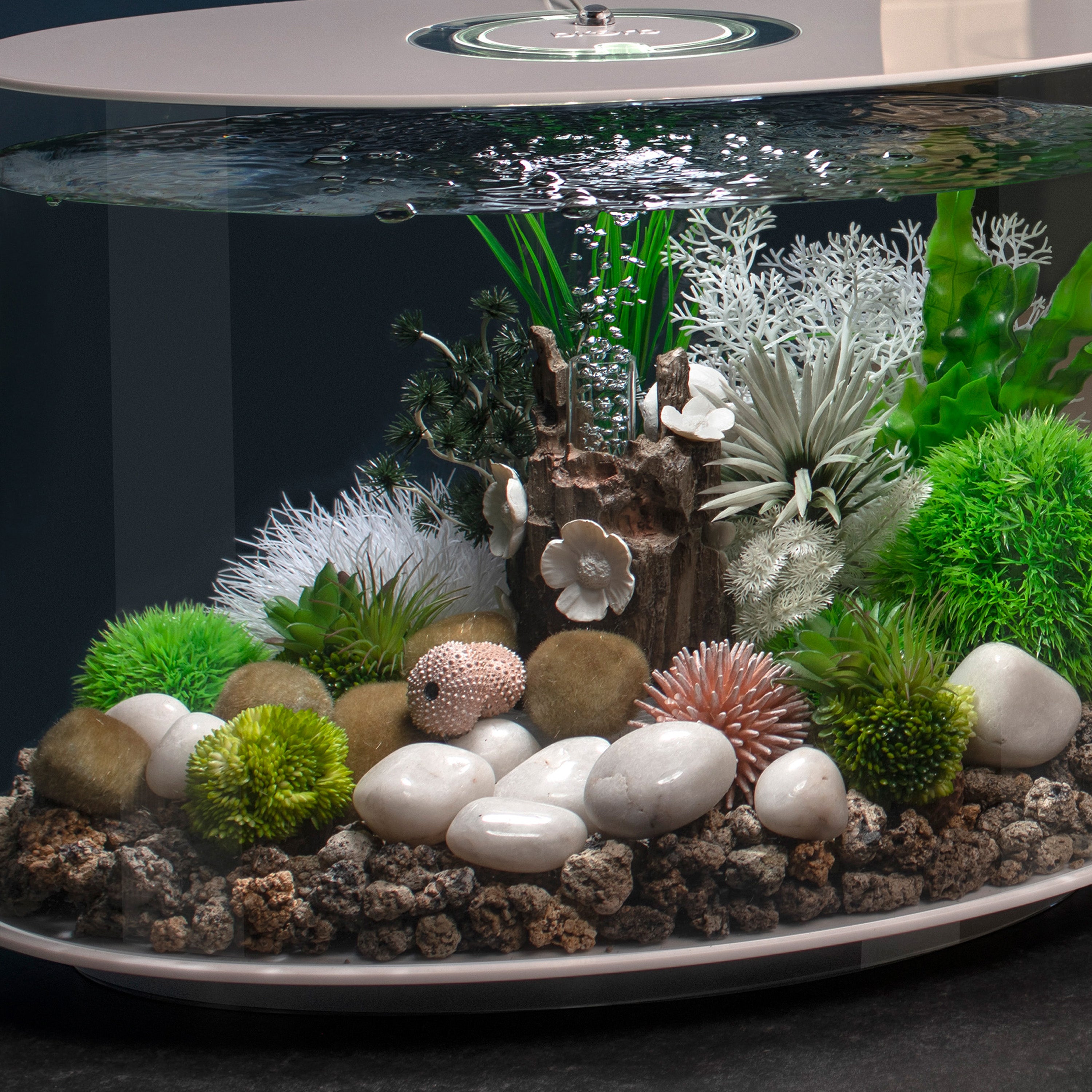 Coral Ball Set In Use