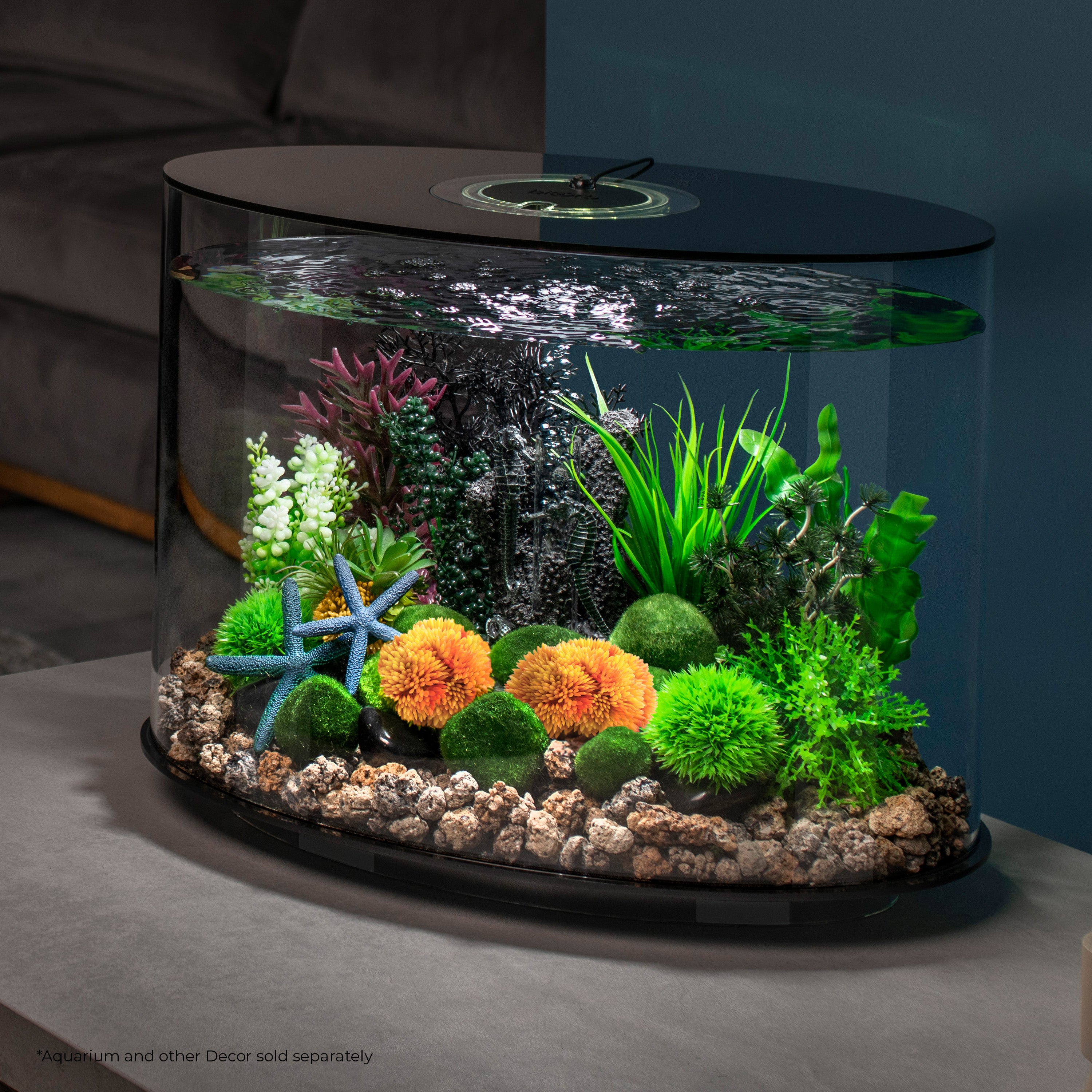 Coral Ball Set In Use