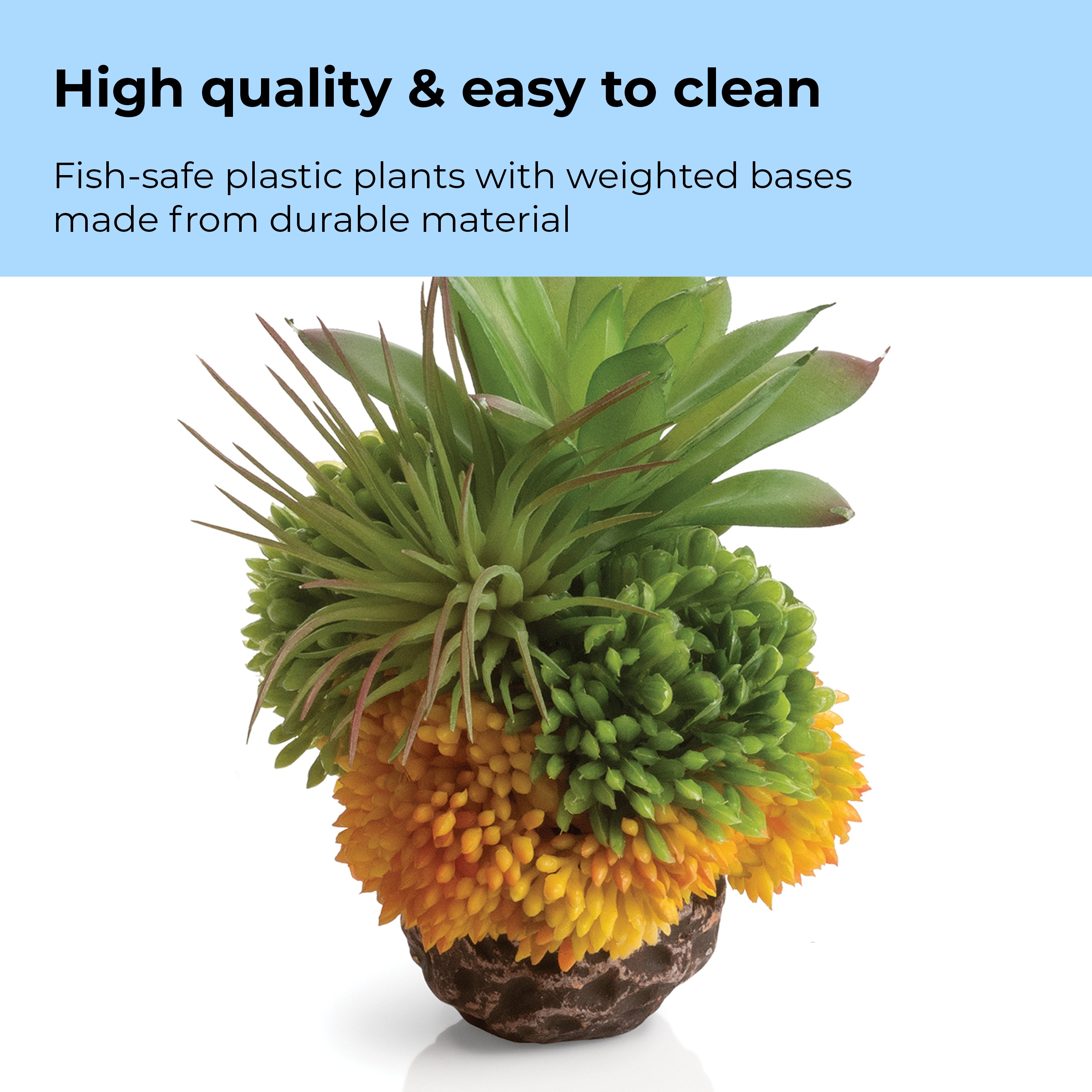 Coral Ball Set - High quality & easy to clean
