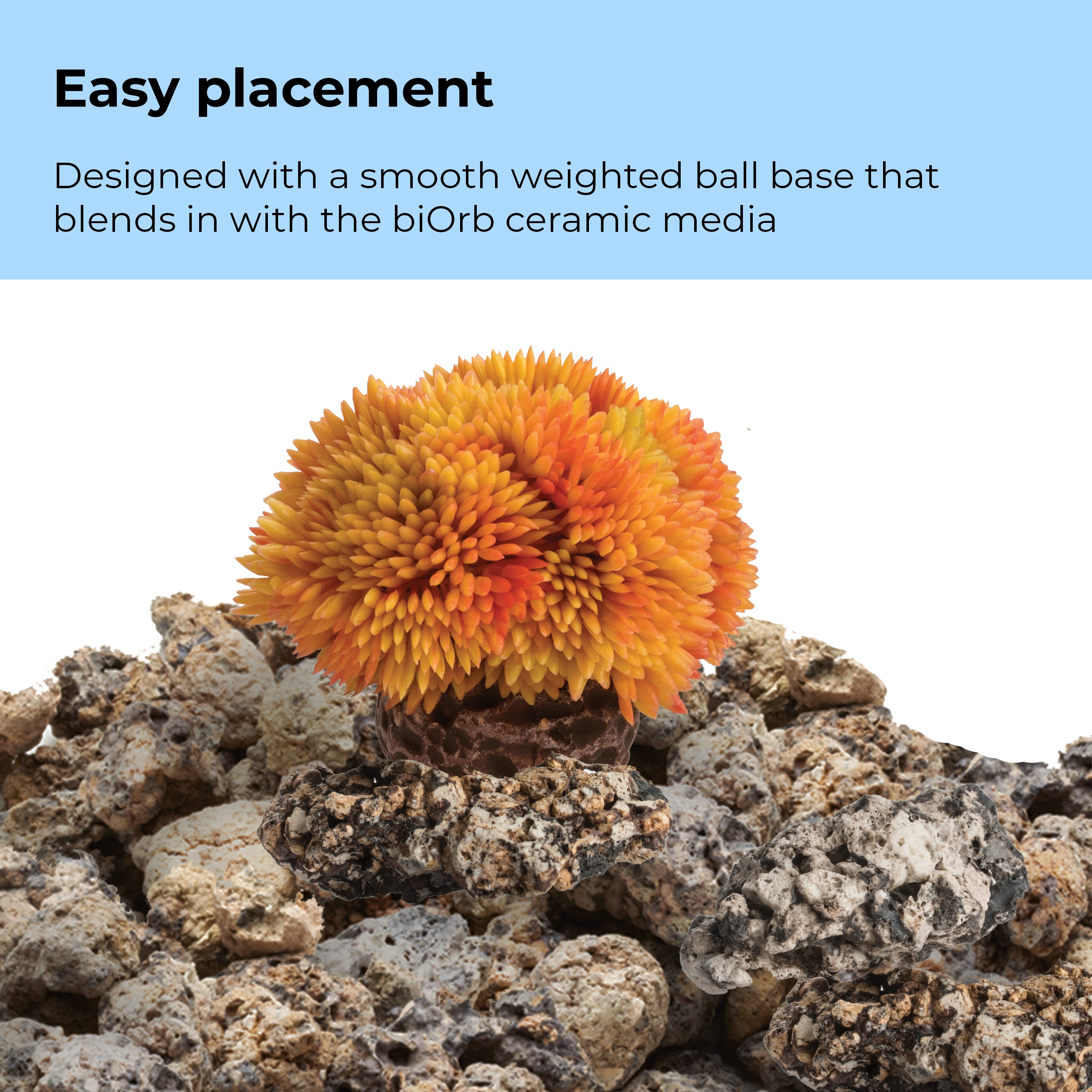 Coral Ball Set - Easy placement