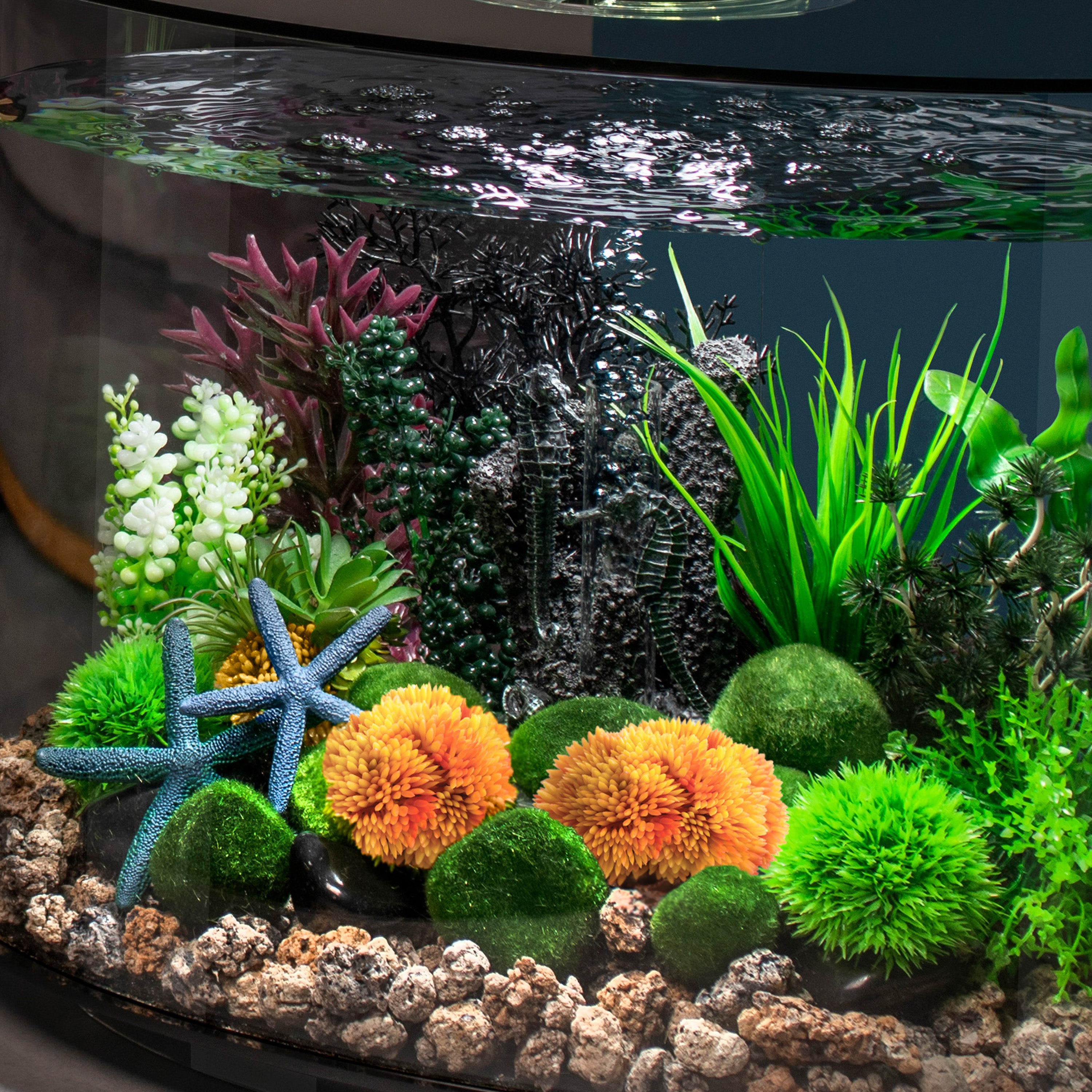 Coral Ball Set In Use