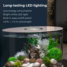 LOOP 30 Aquarium with Standard White LED Light - Long-lasting LED lighting