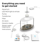 LOOP 30 Aquarium with Multi Colour LED Light - Everything you need to get started