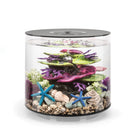 TUBE 15 Aquarium with Standard White LED Light - Black