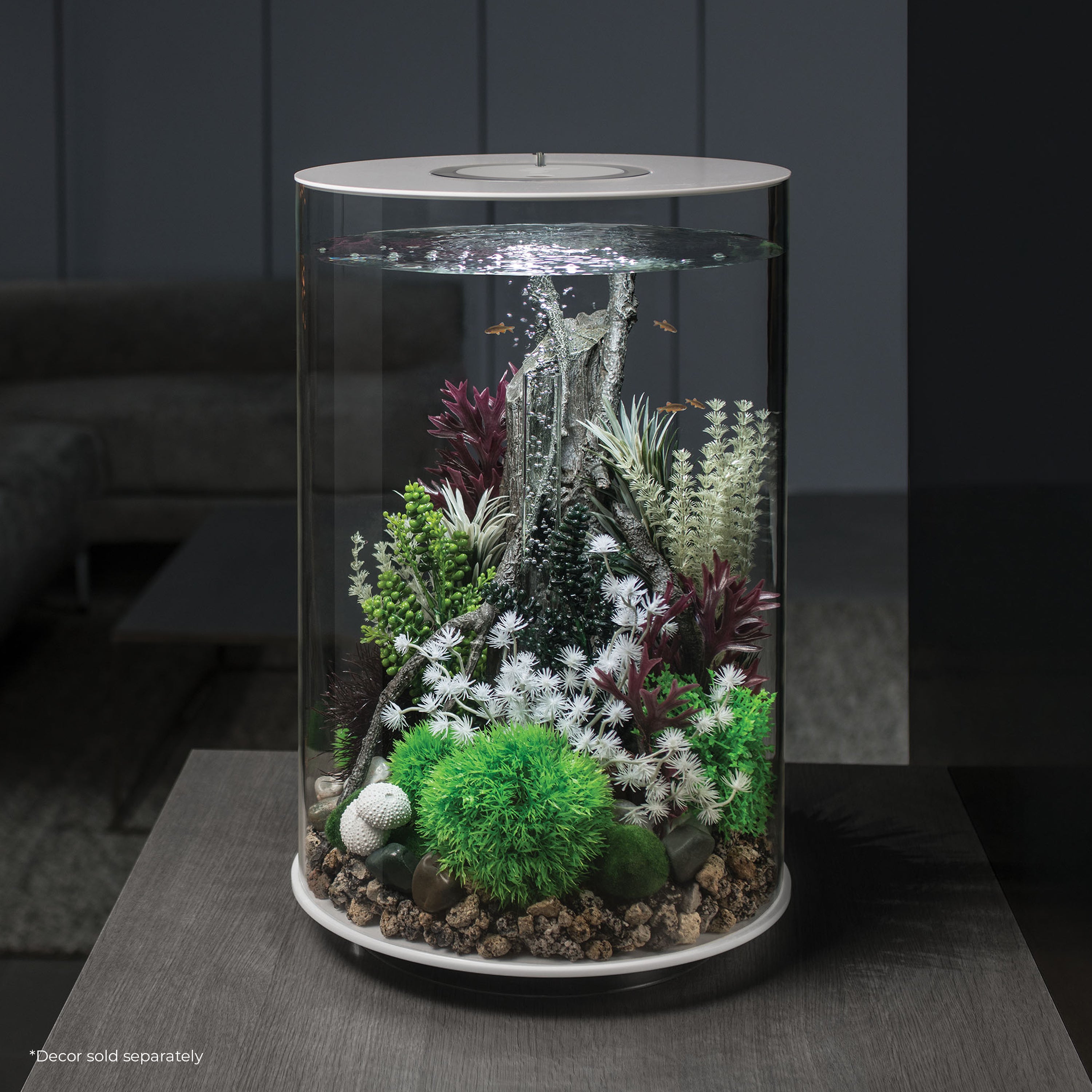 TUBE 30 Aquarium with Standard White LED Light - White in use