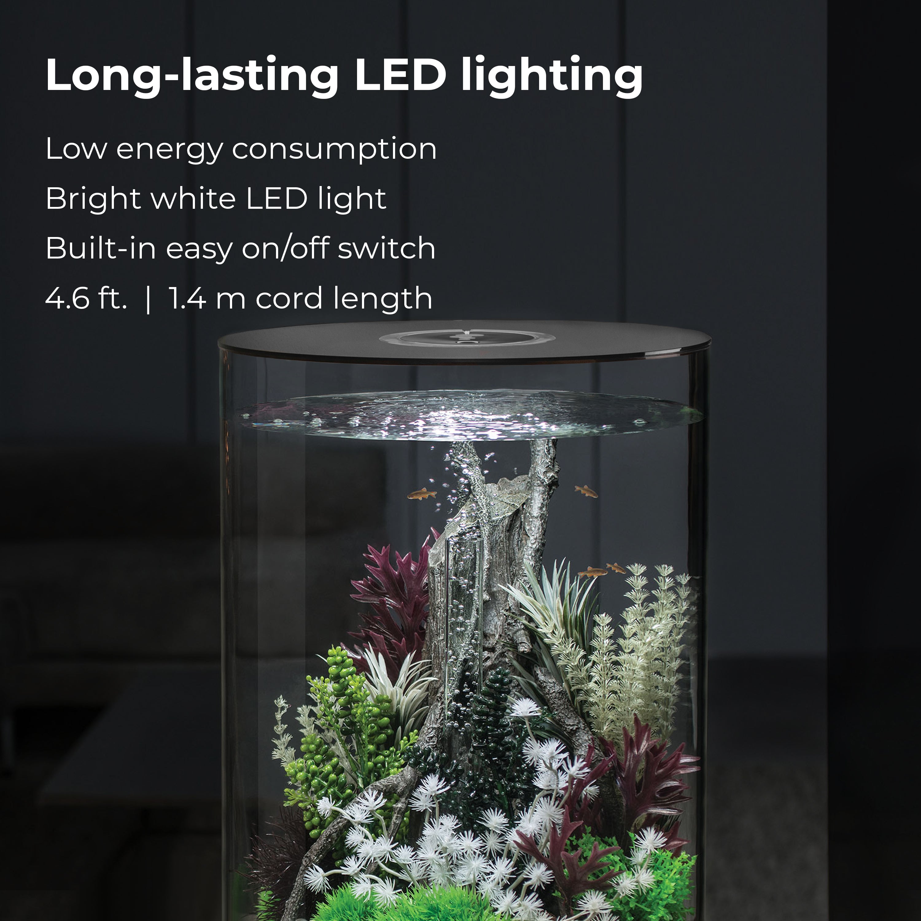 TUBE 30 Aquarium with Standard White LED Light - Long-lasting LED lighting