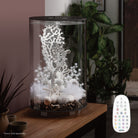 TUBE 30 Aquarium with Multi Colour LED Light - Black in use