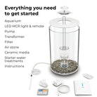 TUBE 30 Aquarium with Multi Colour LED Light - Everything you need to get started