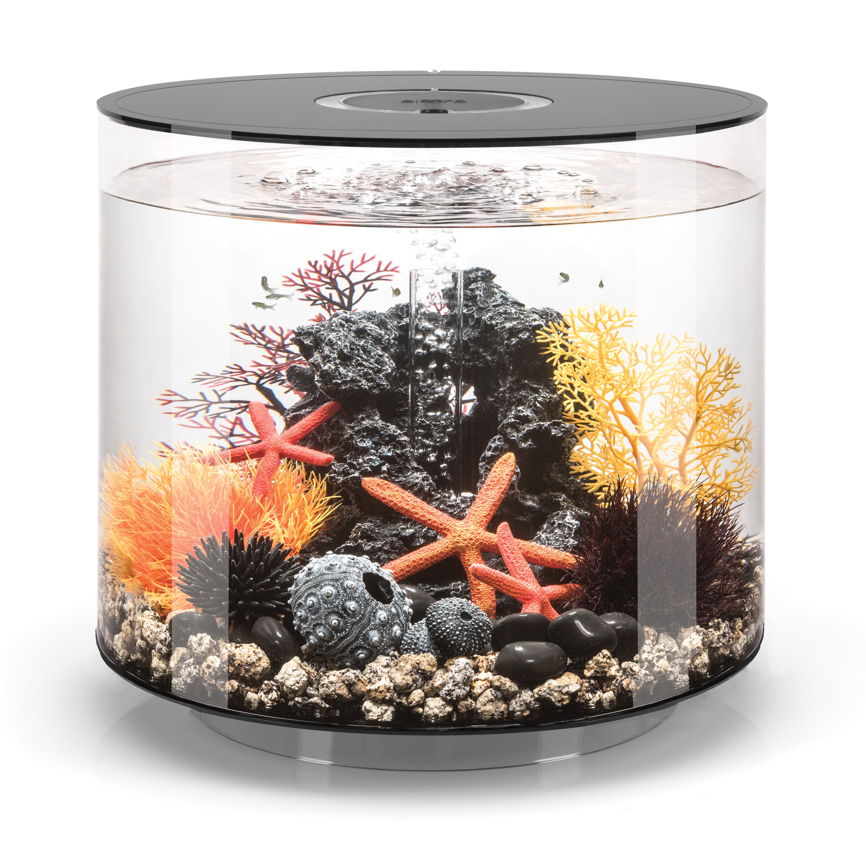 TUBE 35 Aquarium with Standard White LED Light - Black