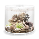 TUBE 35 Aquarium with Standard White LED Light - White