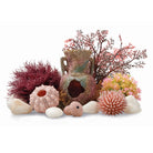 Lost Vase Décor Set