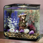 Reef Rock Décor Set In Use