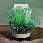 Tuvalu Décor Set In Use