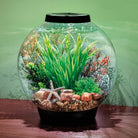 Palau Décor Set In Use