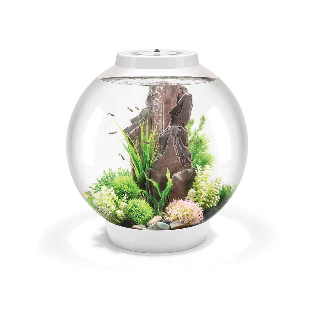 biOrb UK - Aquariums, Terrariums and Vivariums