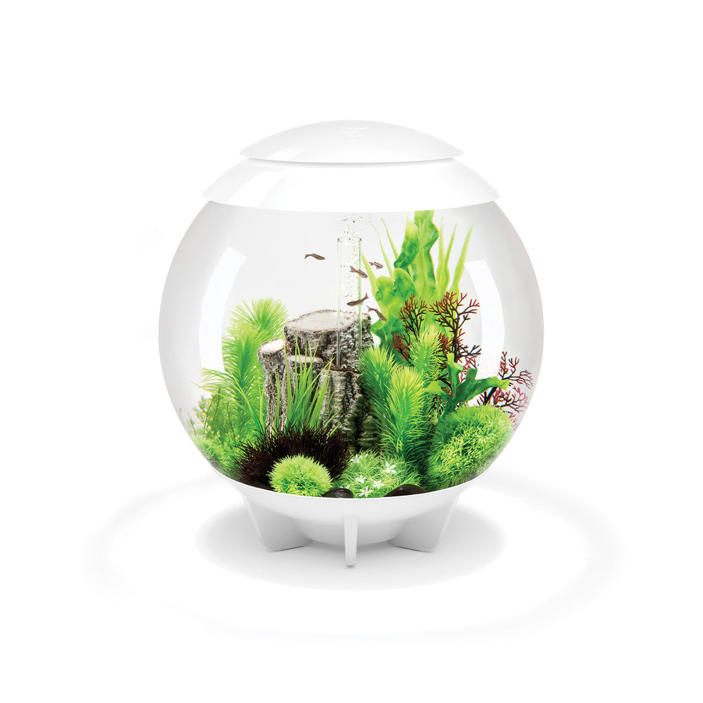 biOrb UK Aquariums, Terrariums and Vivariums