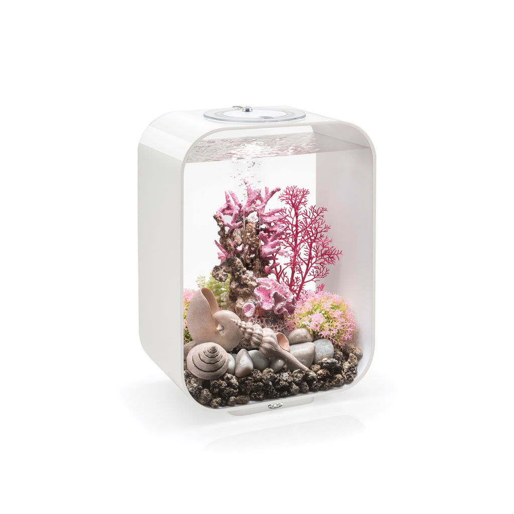 Biorb biOrb UK - Aquariums, Terrariums and Vivariums