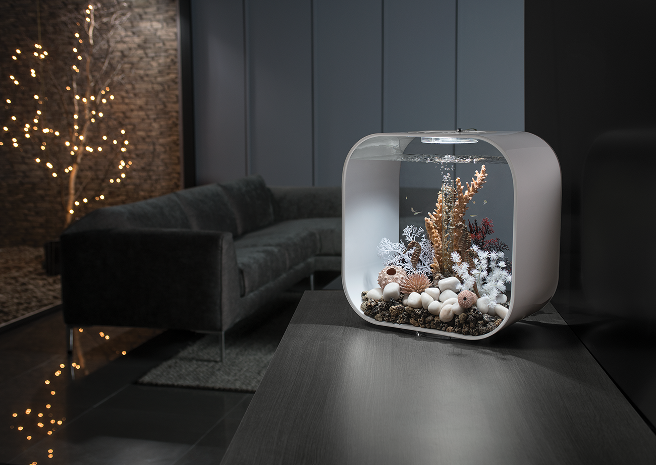 Stylish biOrb Aquariums for Every Enthusiast | biOrb UK