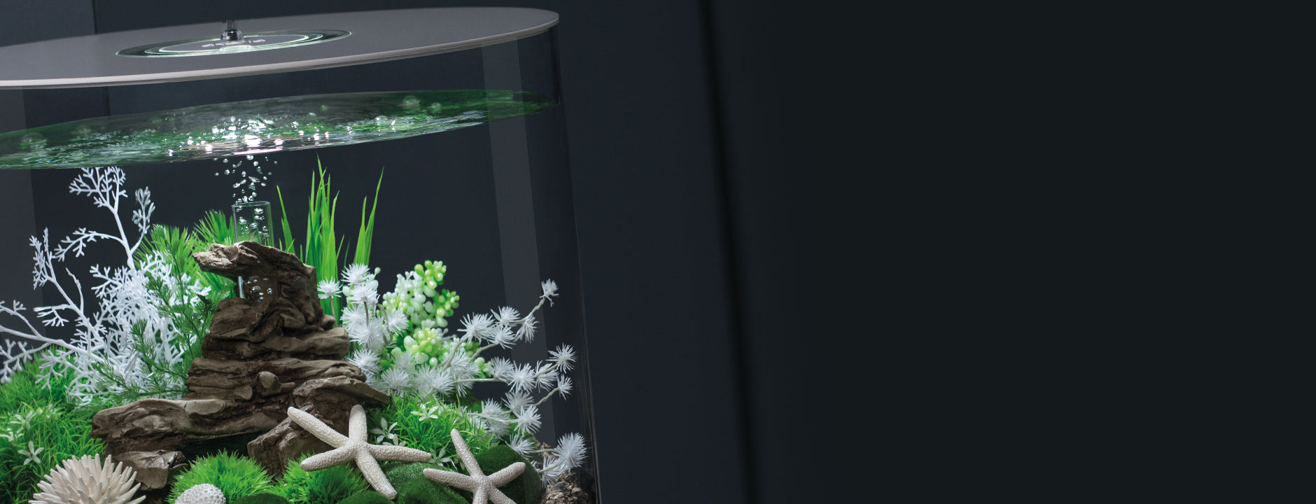 Biorb Stylish biOrb Aquariums for Every Enthusiast | biOrb UK