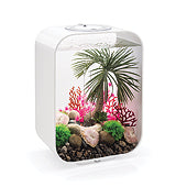 Stylish biOrb Aquariums for Every Enthusiast | biOrb UK