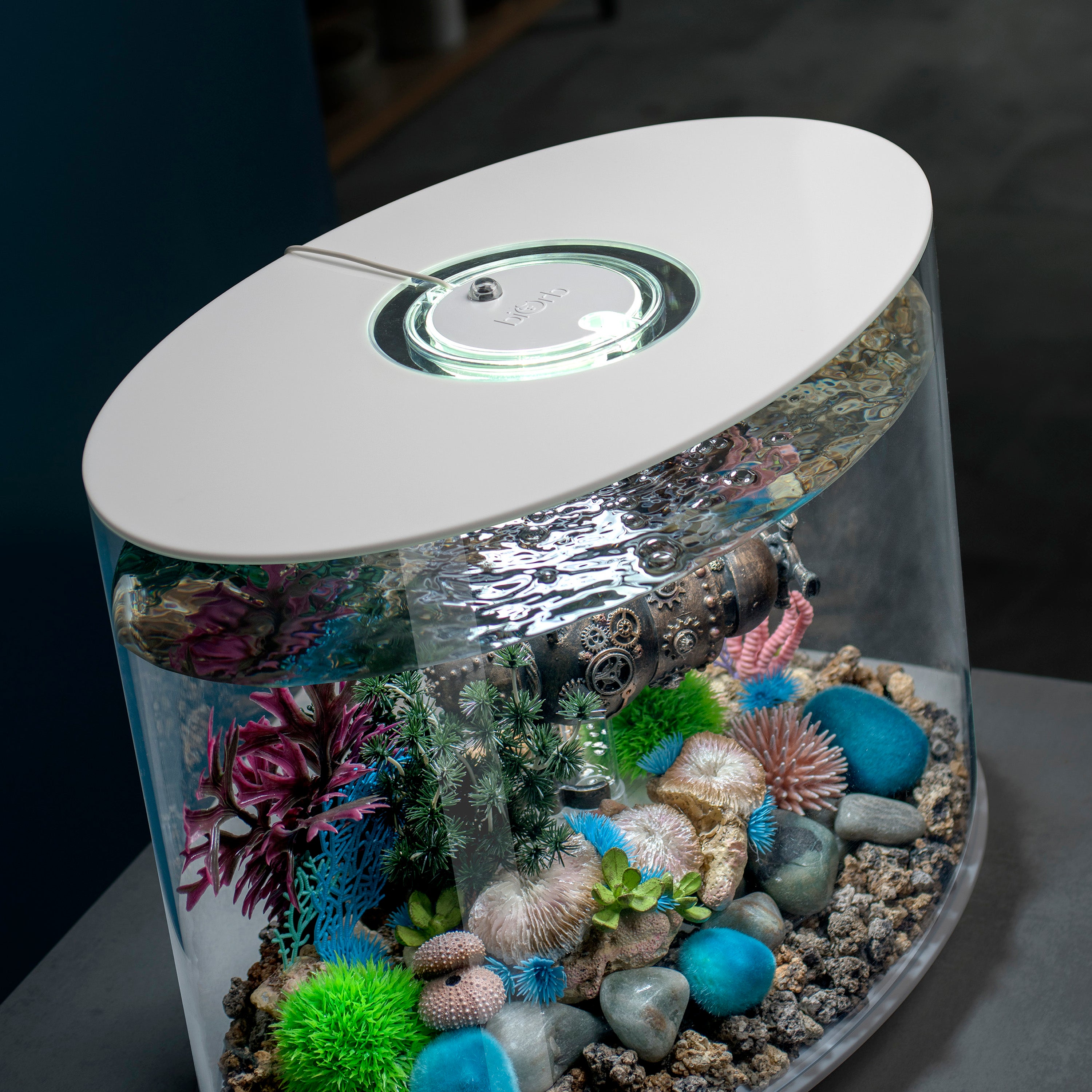 LOOP 30 Aquarium with Multi Colour LED light - remote control