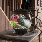 Get inspiration for your aquarium design by using the biOrb CLASSIC 15 Aquarium