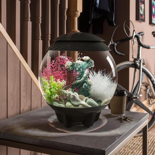 Get inspiration for your aquarium design by using the biOrb CLASSIC 15 Aquarium